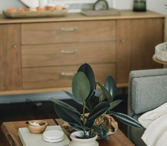 Nachhaltiger Lifestyle | © Kaylee Garrett / Unsplash Nachhaltiger Lifestyle | © Kaylee Garrett / Unsplash